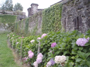 St Jean Pied de Port 13