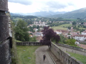 St Jean Pied de Port 14