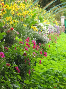 Arboretum photos 086