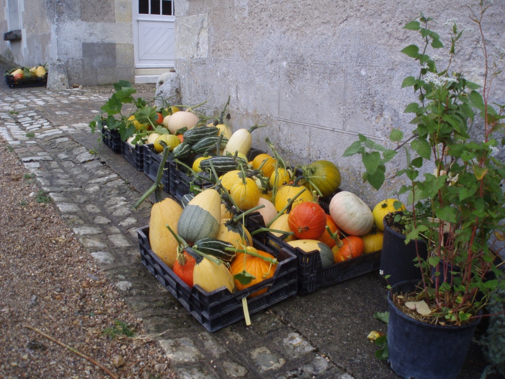 Valmersquash1