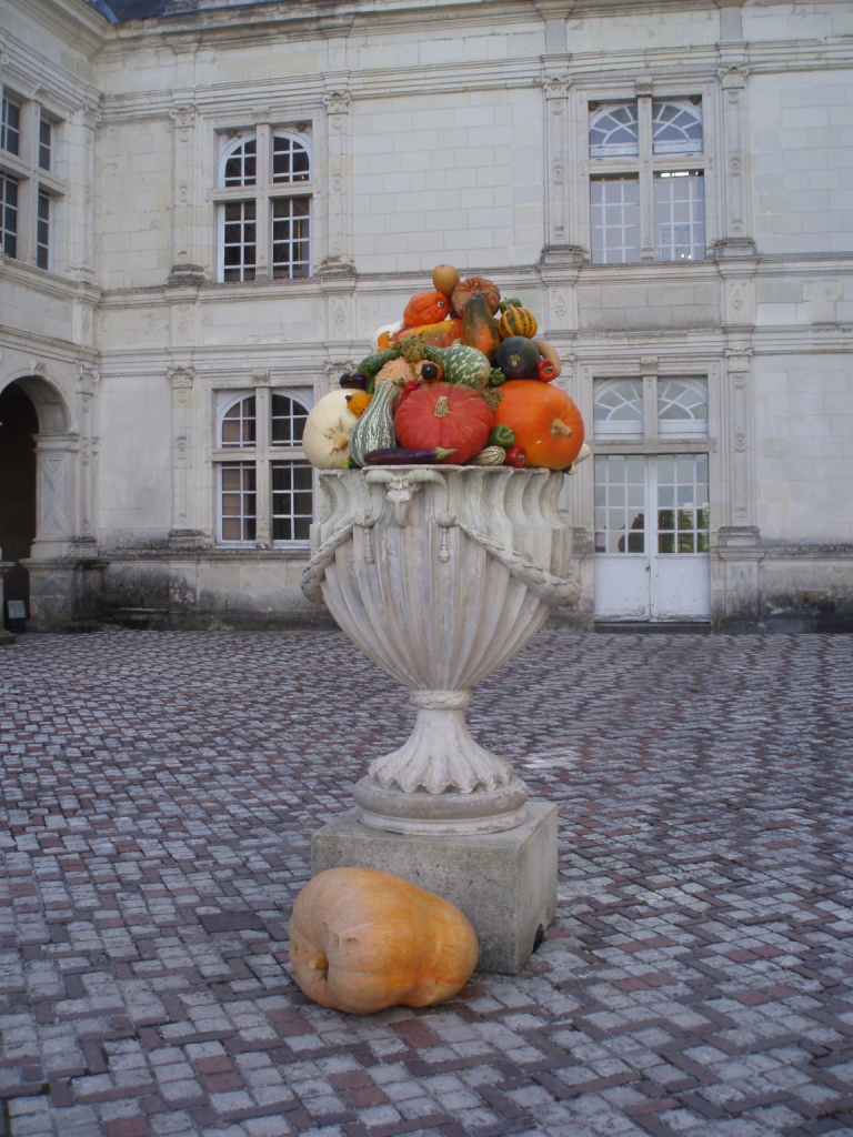 Villandrysquash1