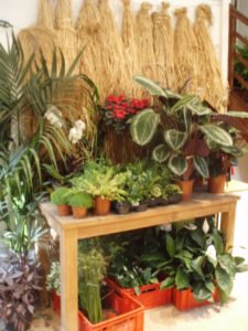 Chenonceau13 Chenonceau13