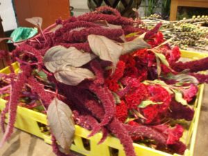 Chenonceau14 Chenonceau14