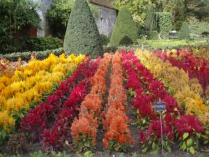 Chenonceau2 Chenonceau2