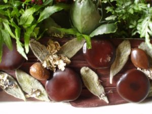 Chenonceau9 Chenonceau9