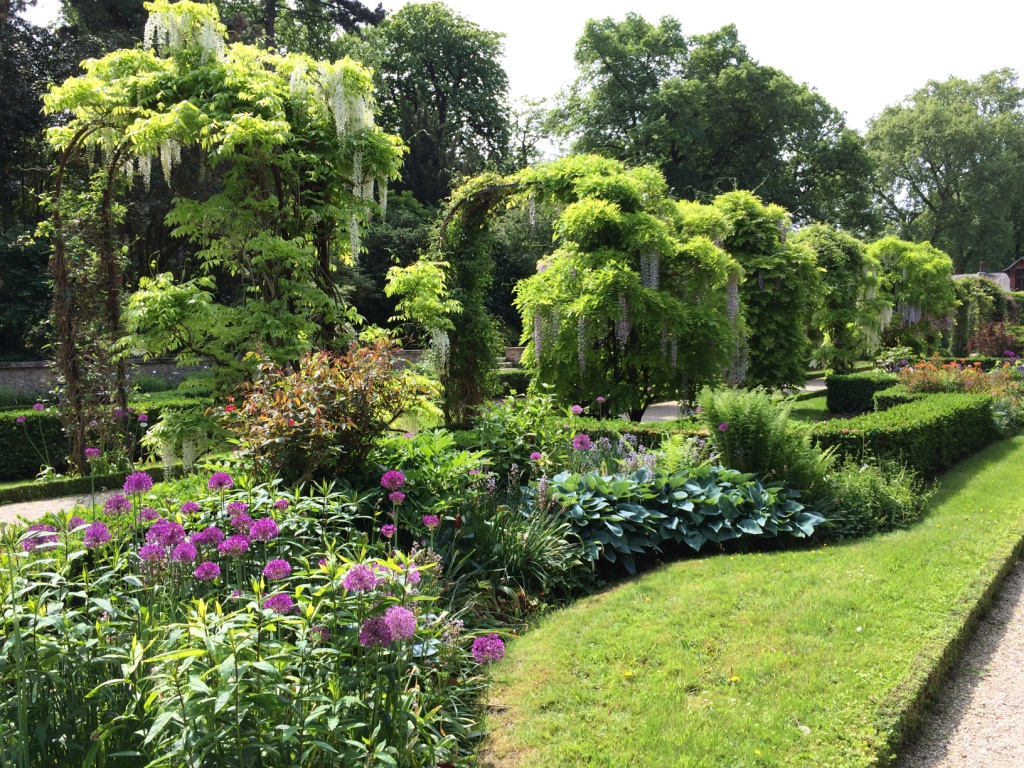 IMG_1256comp